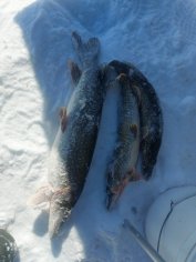 Ежегодная рыбалка «УралСпецТранс»